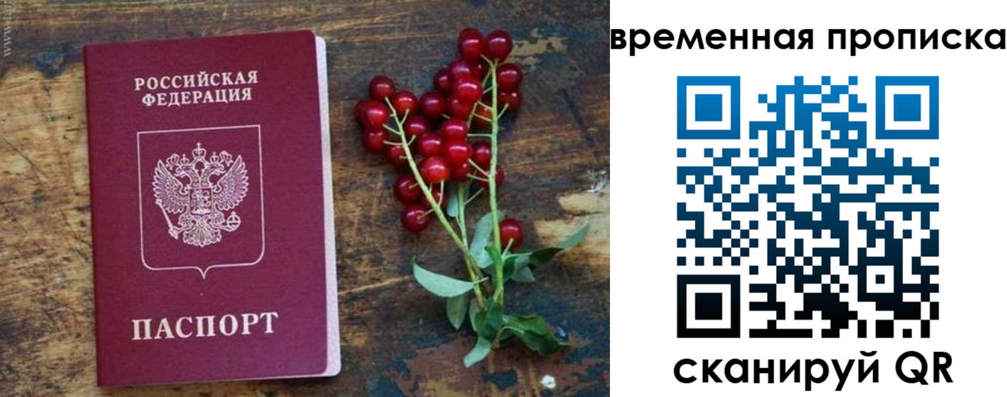 временная регистрация гарантия в Невинномысске